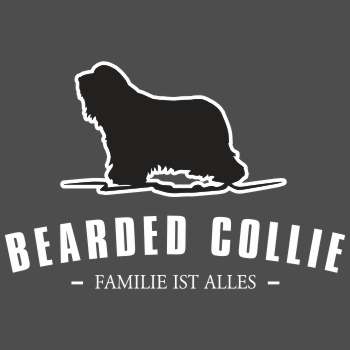 Bearded Collie