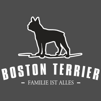 Boston Terrier