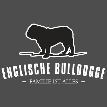 Englische Bulldogge