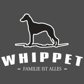 Whippet