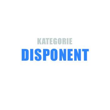 DISPONENT