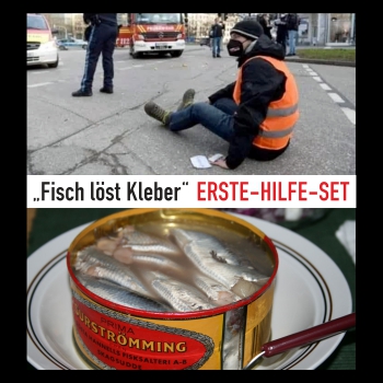 Fisch löst Kleber - ERSTE HILFE SET
